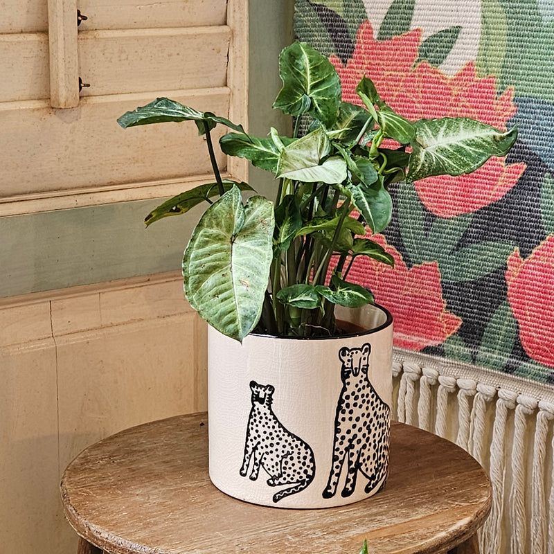 Ceramic Pot with leopard print