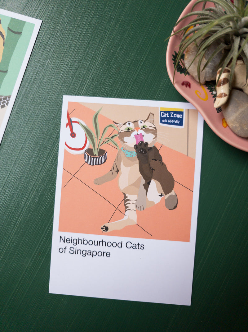 The Neighbourhood Cats of Singapore Postcard