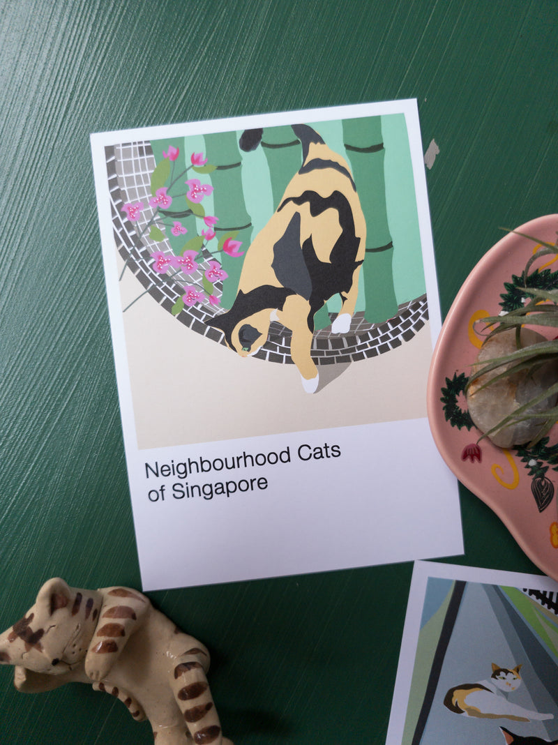The Neighbourhood Cats of Singapore Postcard