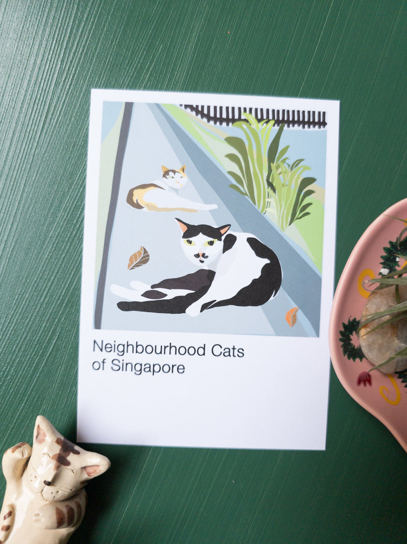 The Neighbourhood Cats of Singapore Postcard