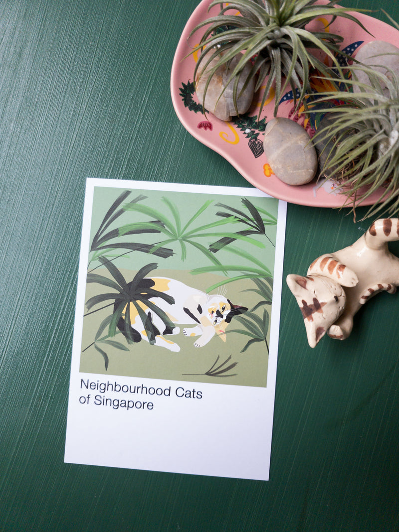 The Neighbourhood Cats of Singapore Postcard