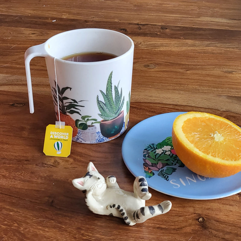 House Plants Bamboo Mug