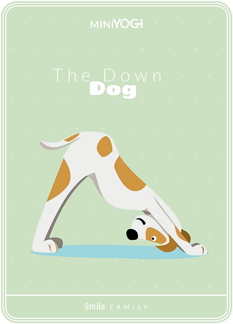 MiniYOGI Cards