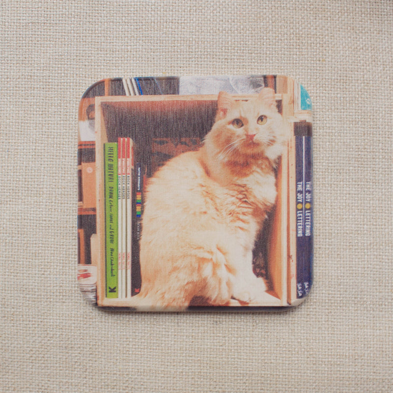 Cats of Cat Socrates Diatomite Coaster