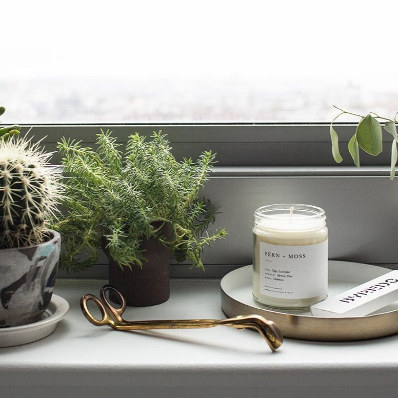 Fern+Moss Minimalist Candle by Brooklyn Candle Studio