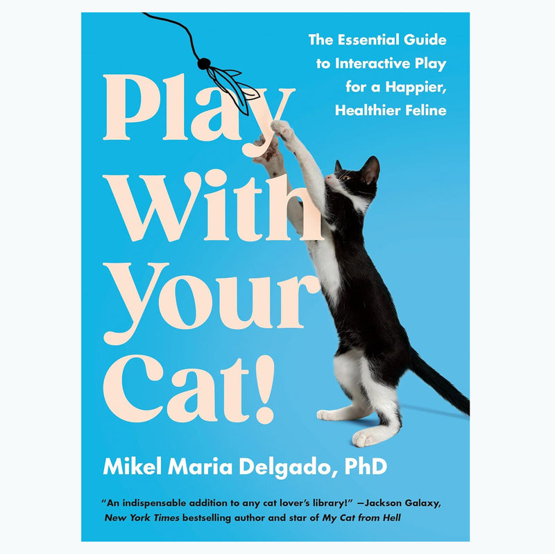 Play With Your Cat!