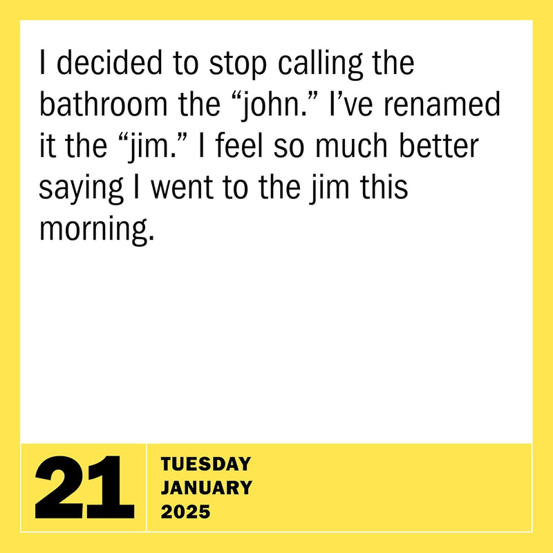 290 Bad Jokes & 75 Punderful Puns Page-A-Day 2025 Box Calendar