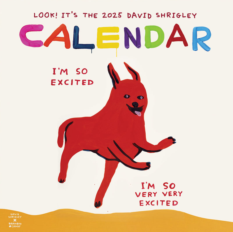 David Shrigley 2025 Wall Calendar