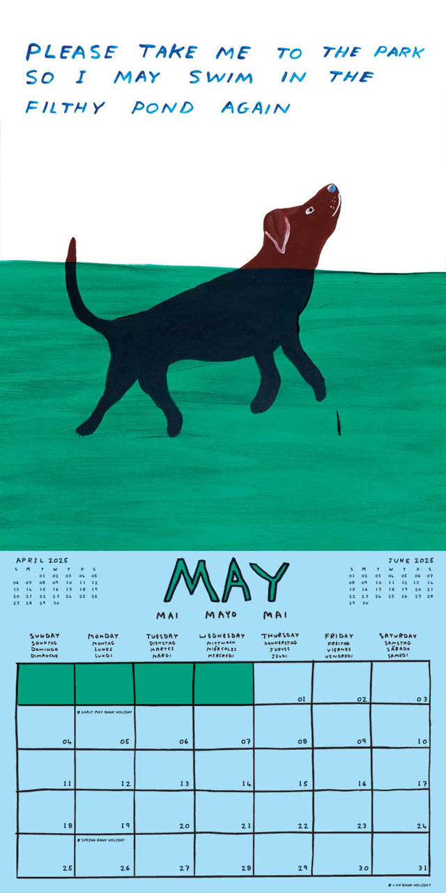 David Shrigley 2025 Wall Calendar