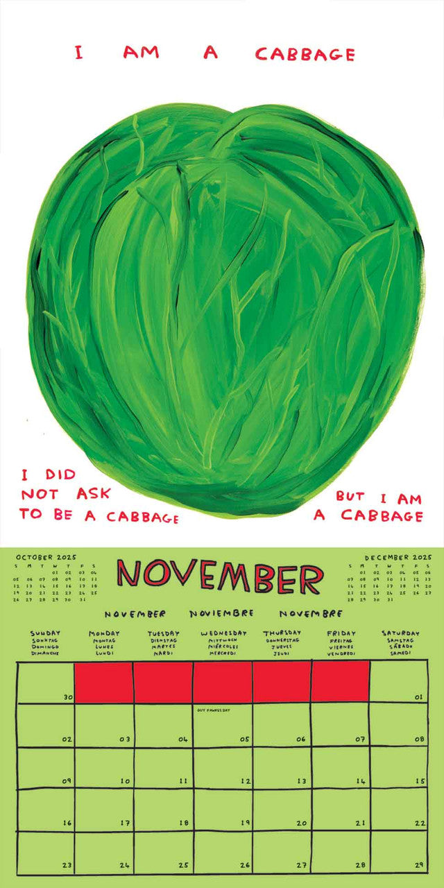 David Shrigley 2025 Wall Calendar