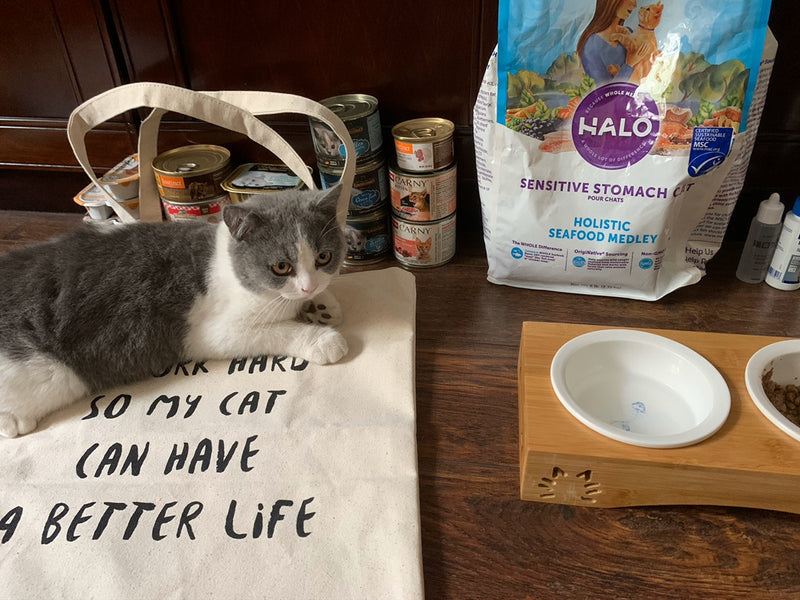 Better Life Cat Tote Bag