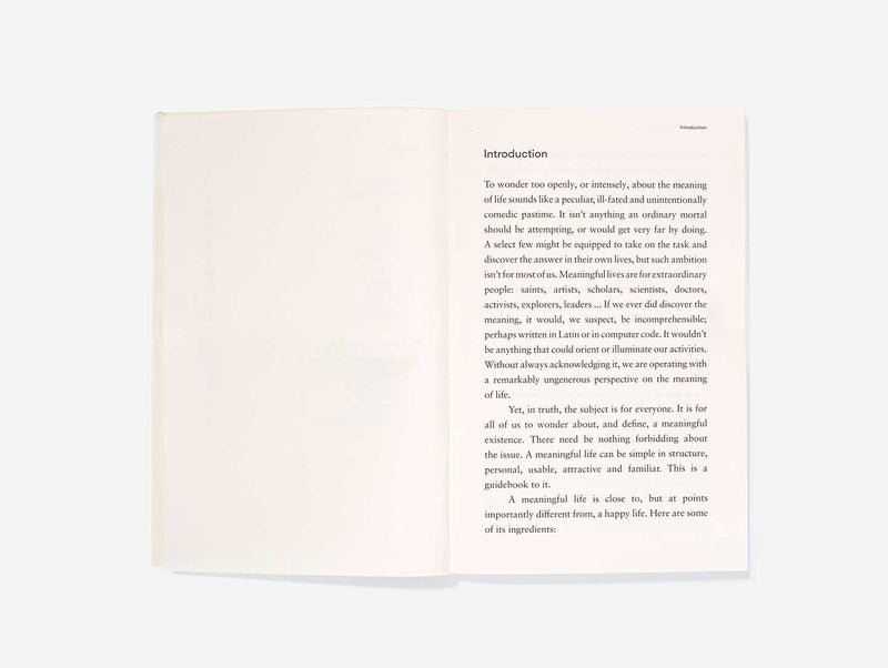 The Meaning of Life (Paperback)