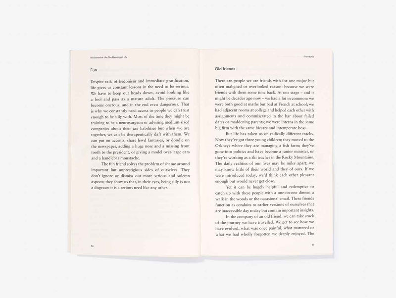 The Meaning of Life (Paperback)