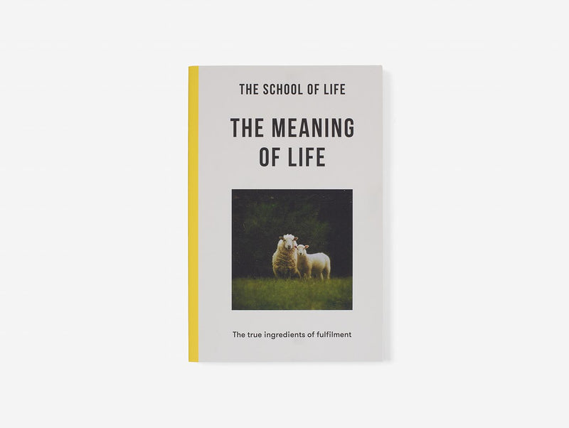 The Meaning of Life (Paperback)