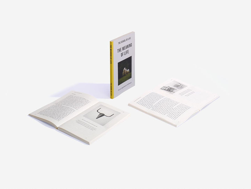 The Meaning of Life (Paperback)