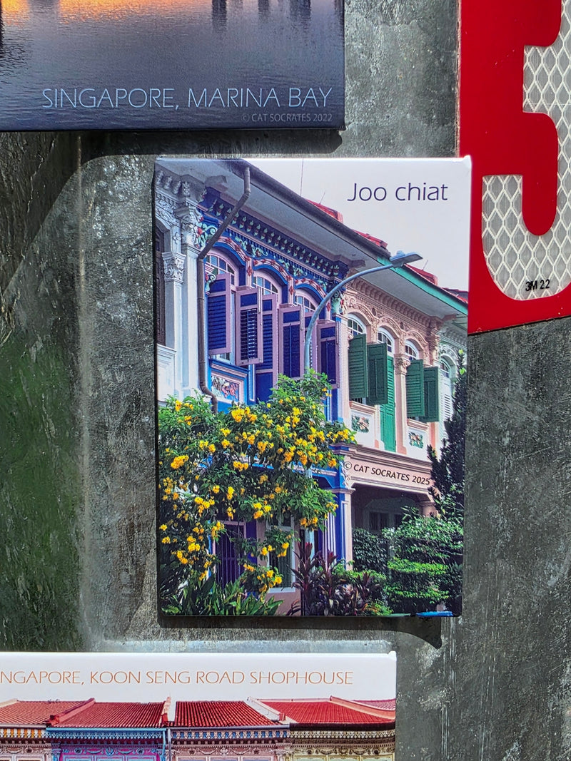Singapore Landscape Magnet