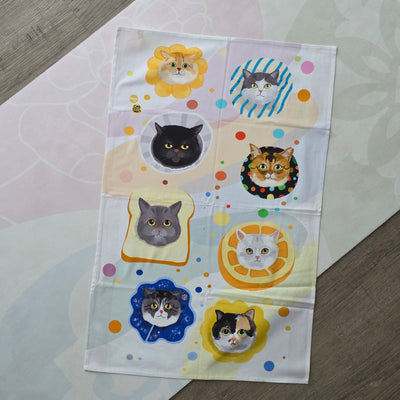 Everything about cats