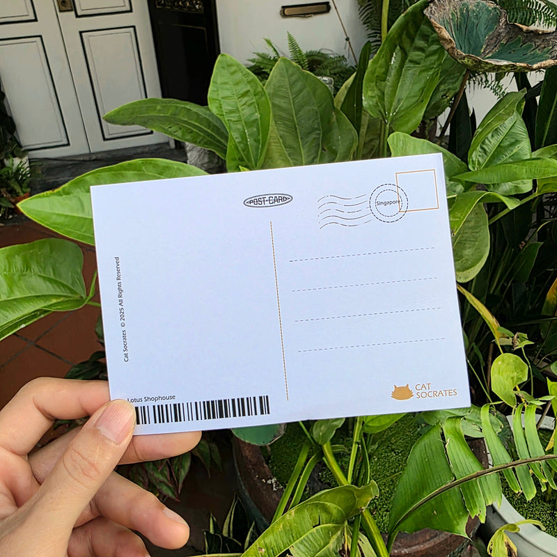 Shophouse Lotus Postcard