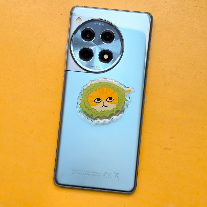 Singapore Fruits Mobile Pop socket