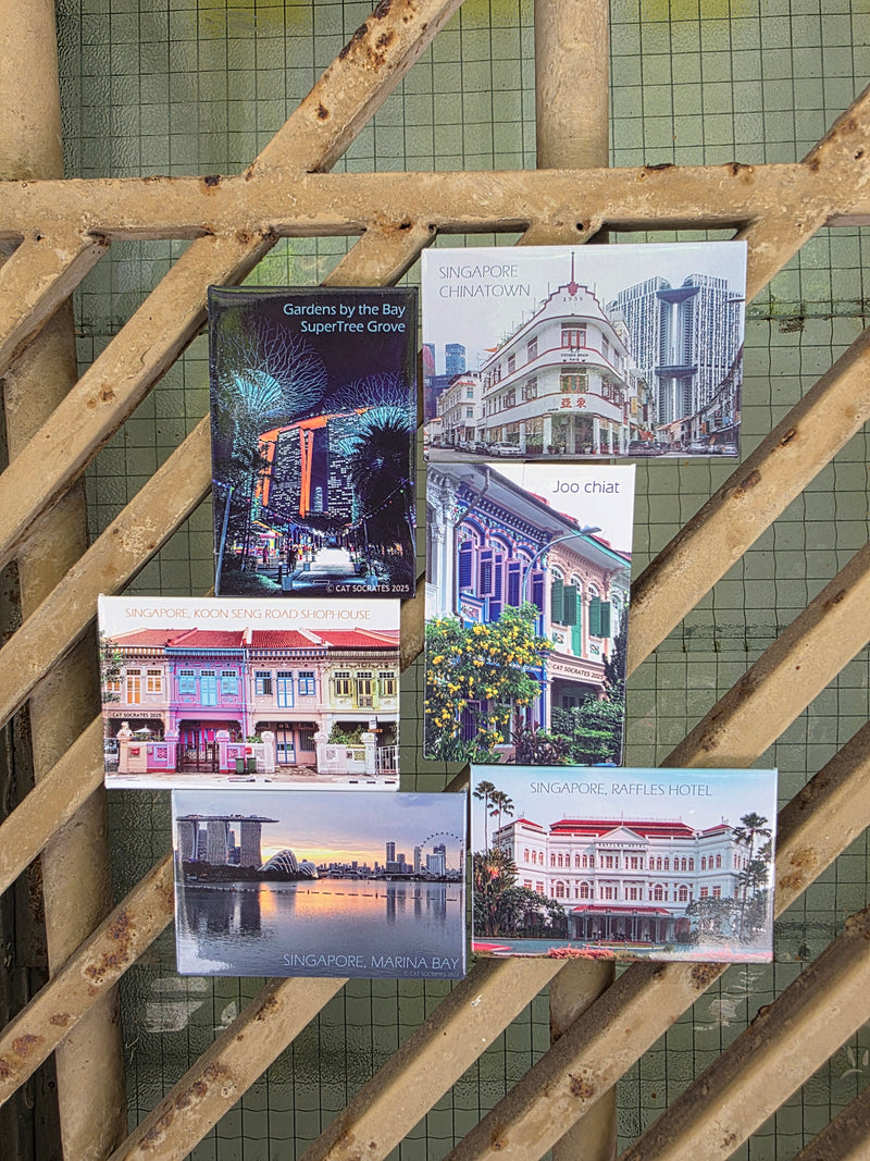 Singapore Landscape Magnet