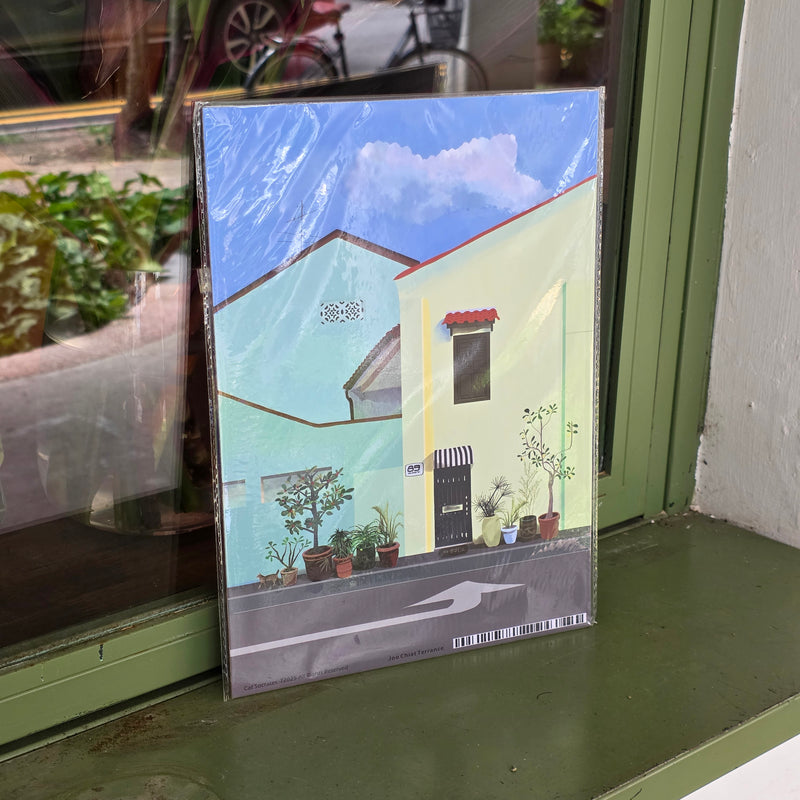 Joo chiat Terrace Postcard