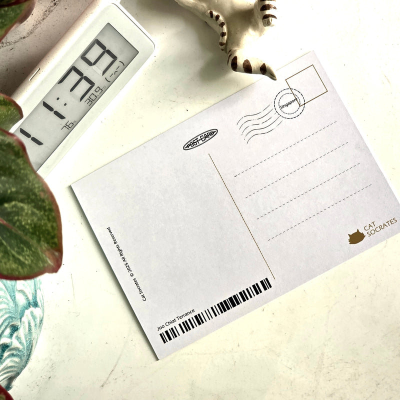 Joo chiat Terrace Postcard