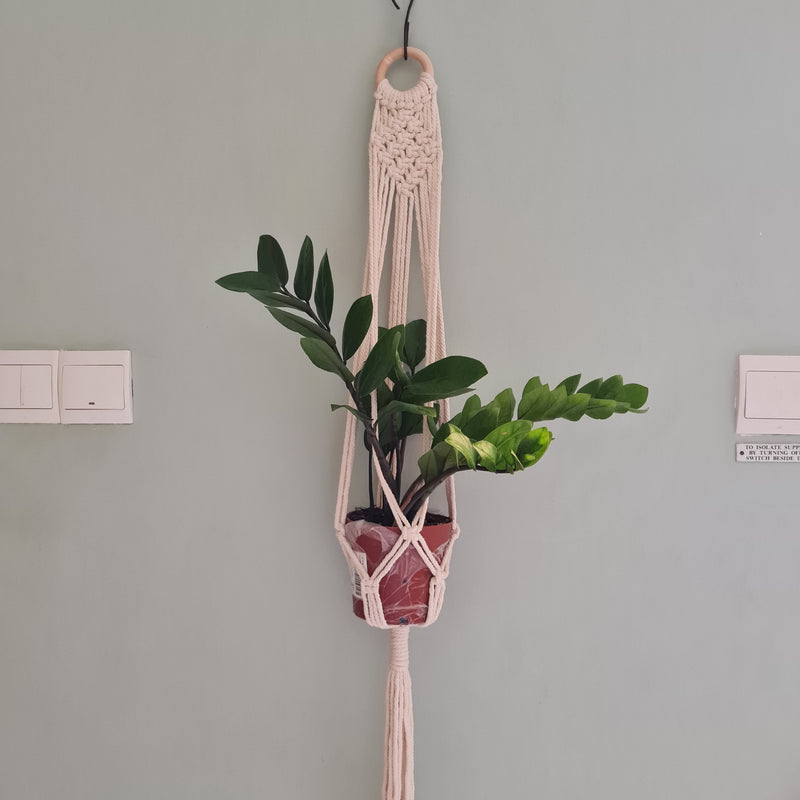 Cotton Rope Weaving Hanging Holder
