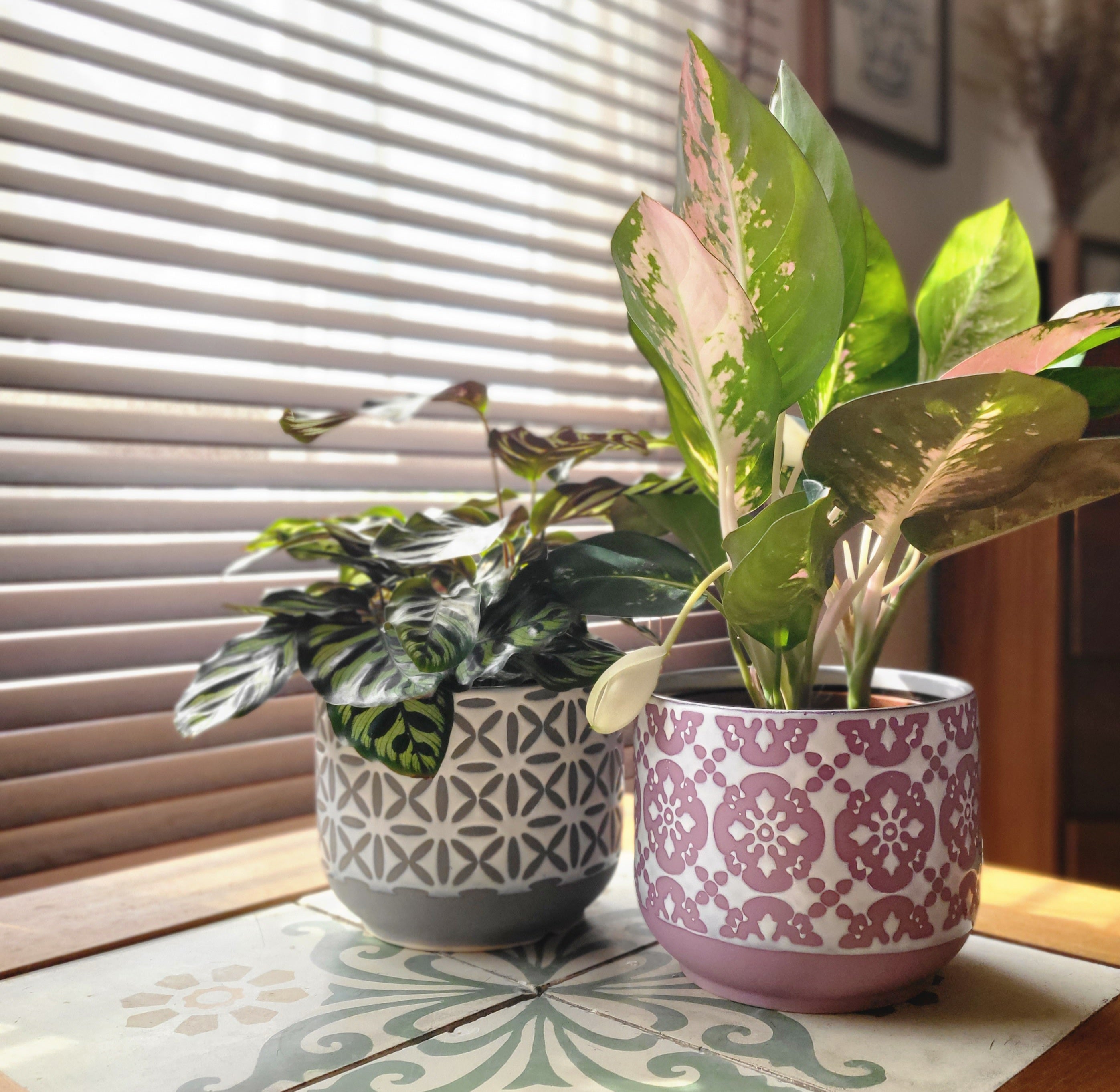 Ceramic Cross Tile Pattern Pot – Cat Socrates Online