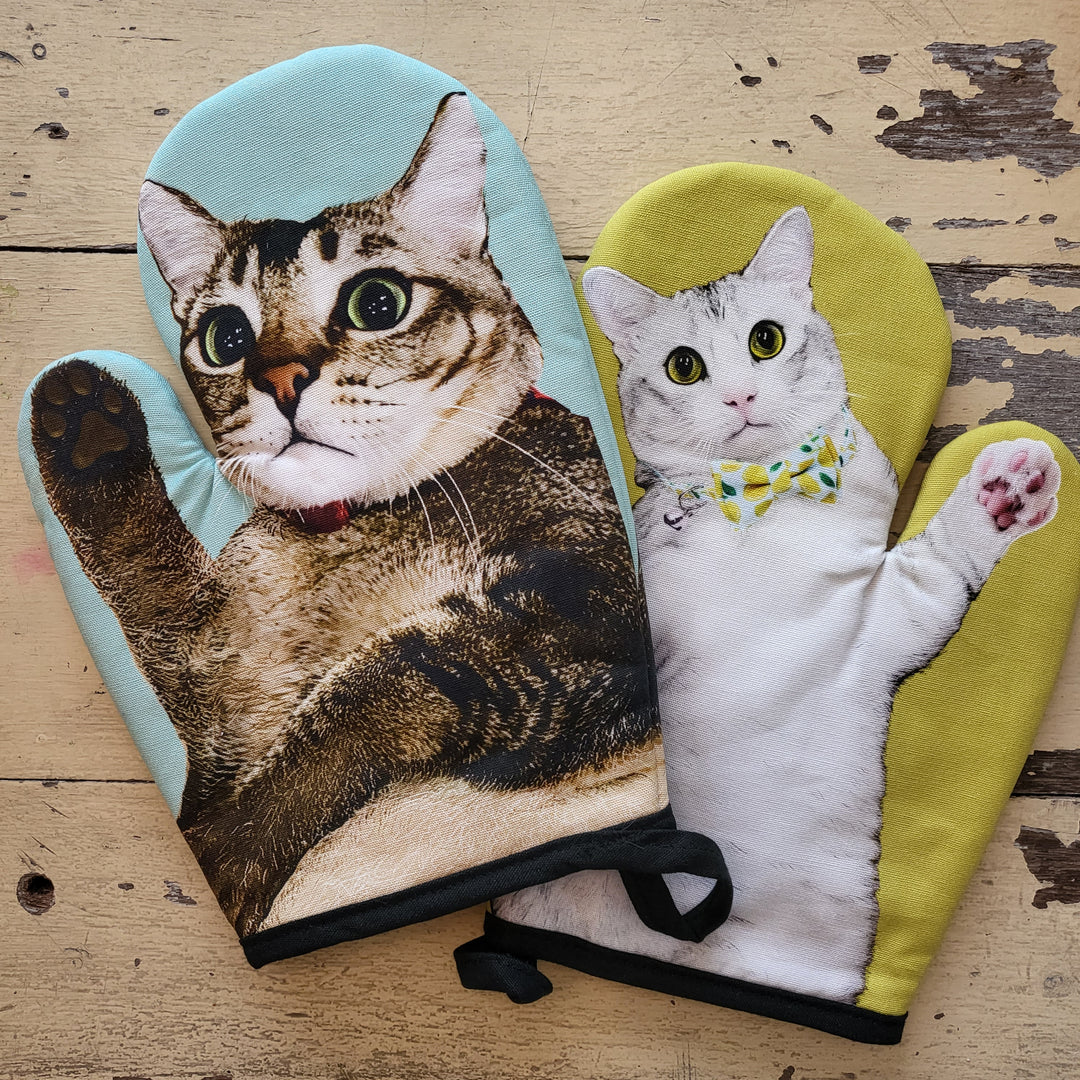 Cat Socrates Oven Mitt – Cat Socrates Online