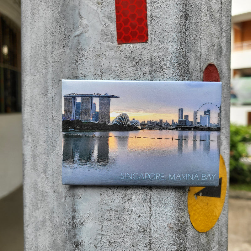 Singapore Landscape Magnet