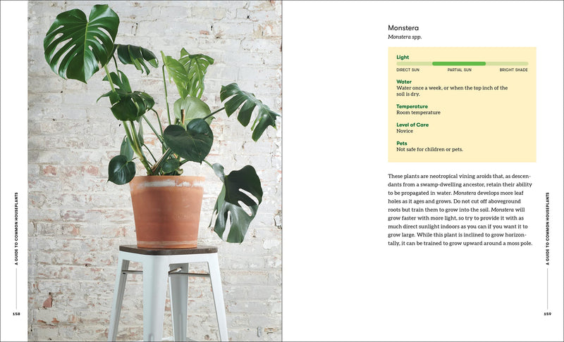 Happy Plant: A Beginner&