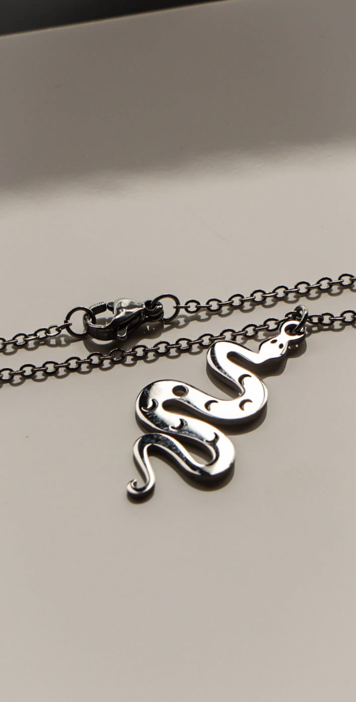 Snake Whisperer Necklace